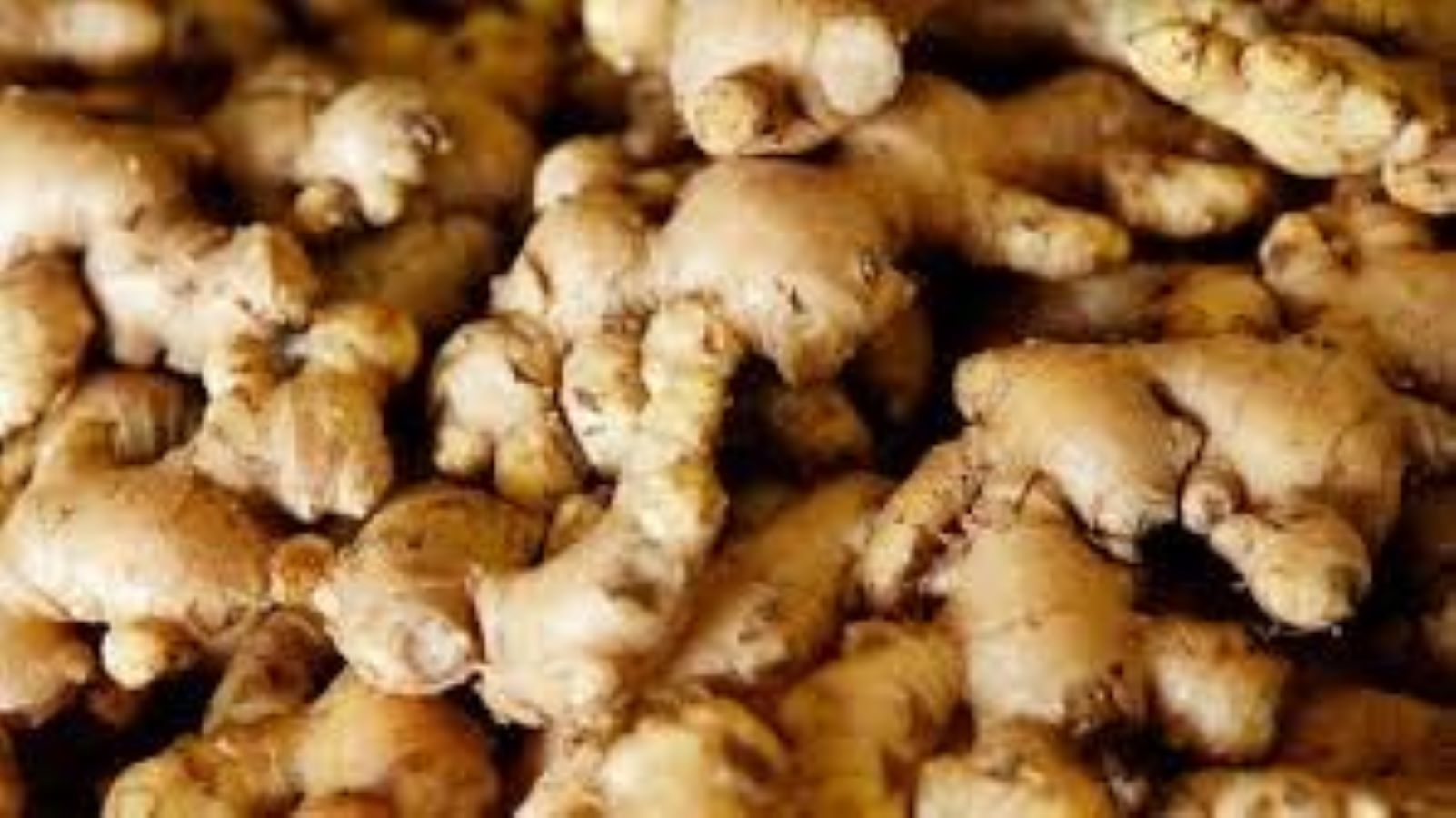 Mizoram has been declared as the ‘Ginger Capital of India’